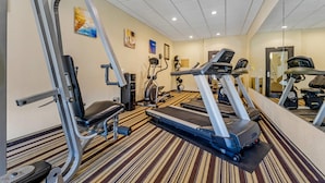 A gym with treadmills, elliptical machines, and weight machines.
