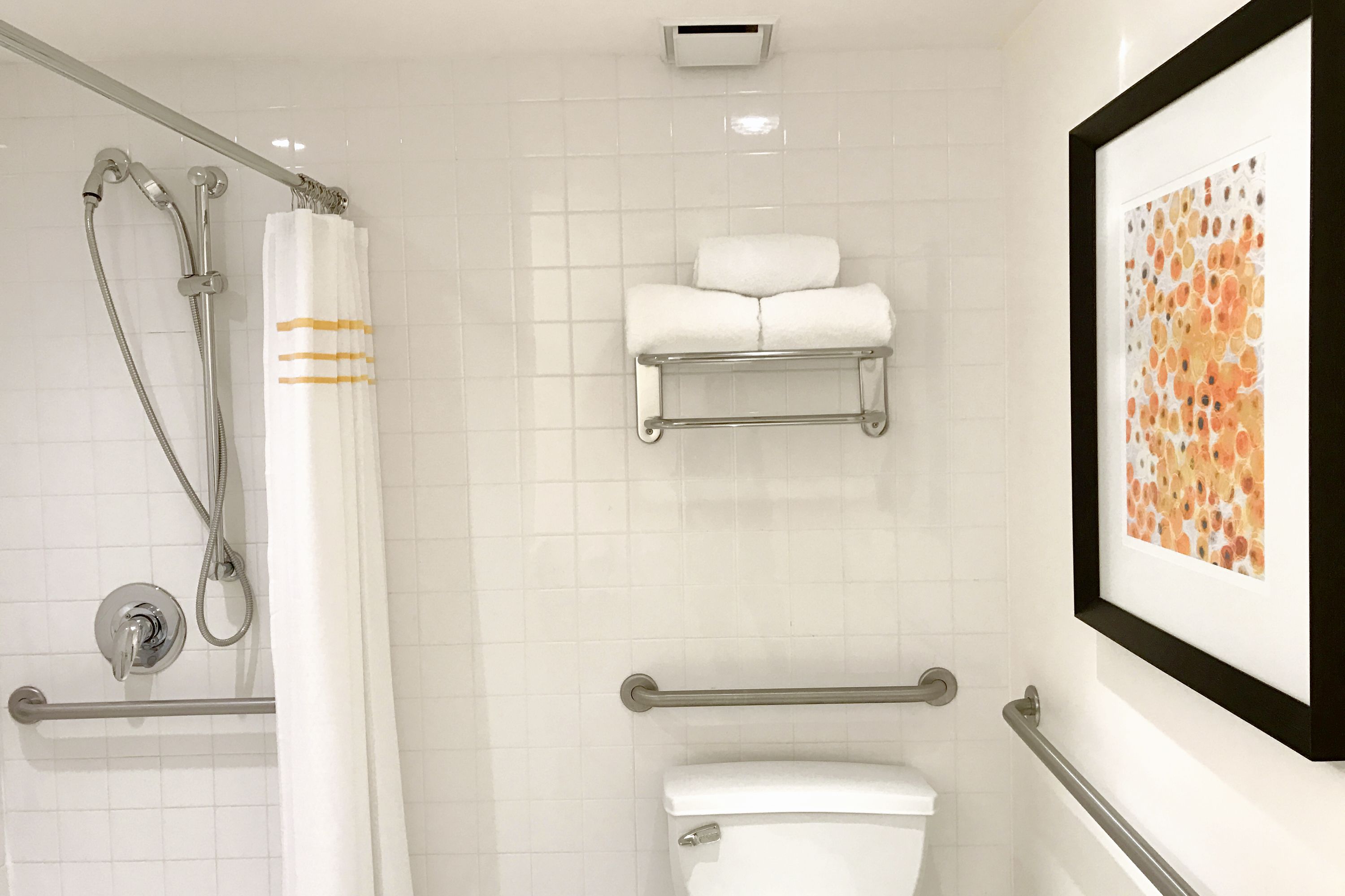 A bathroom with a shower, toilet, and towel rack.