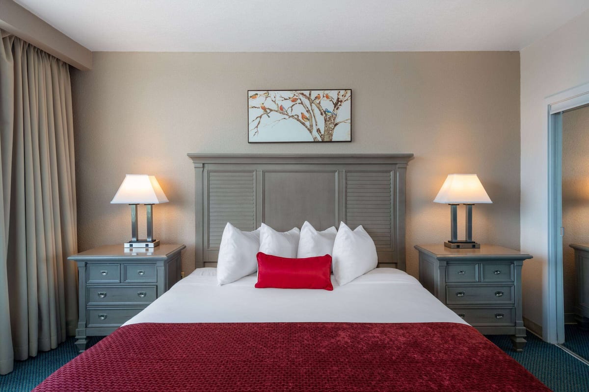 A hotel room with a large bed, two bedside tables with lamps, a red throw blanket, and a painting of birds on the wall.
