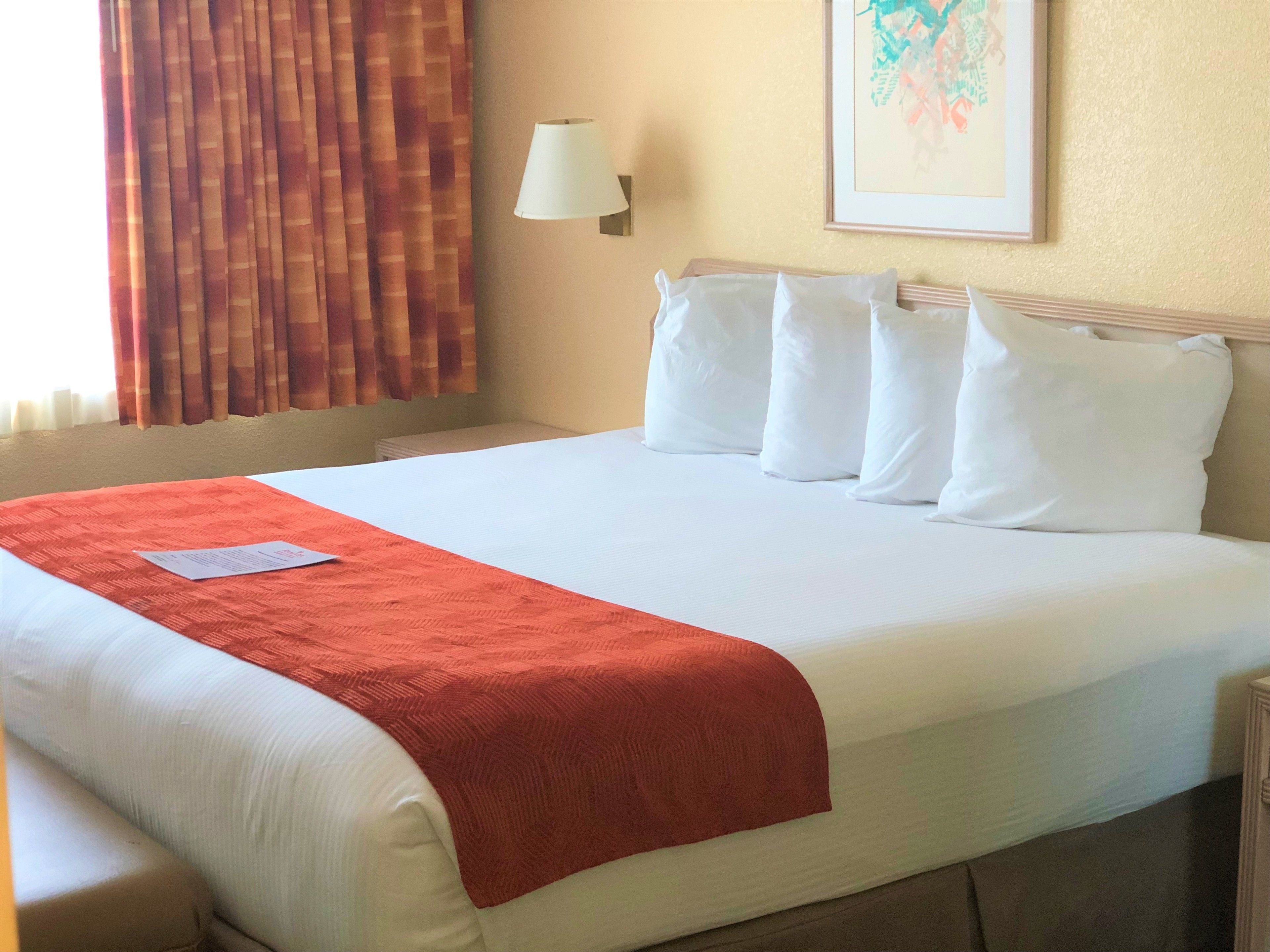 A hotel room with a large bed, a red throw blanket, white pillows, a bedside lamp, and a framed picture on the wall.