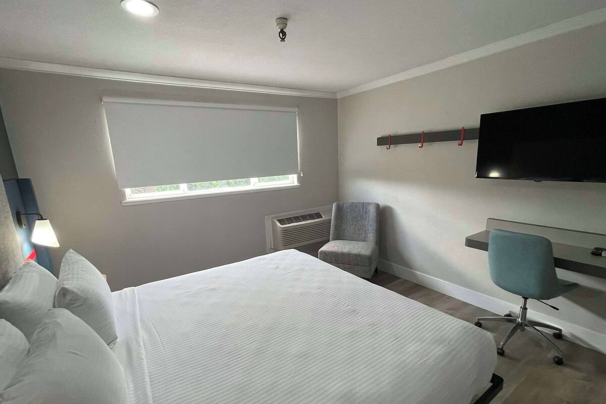 Une chambre d’hôtel avec un grand lit, une chaise, un bureau, un téléviseur à écran plat et une fenêtre.