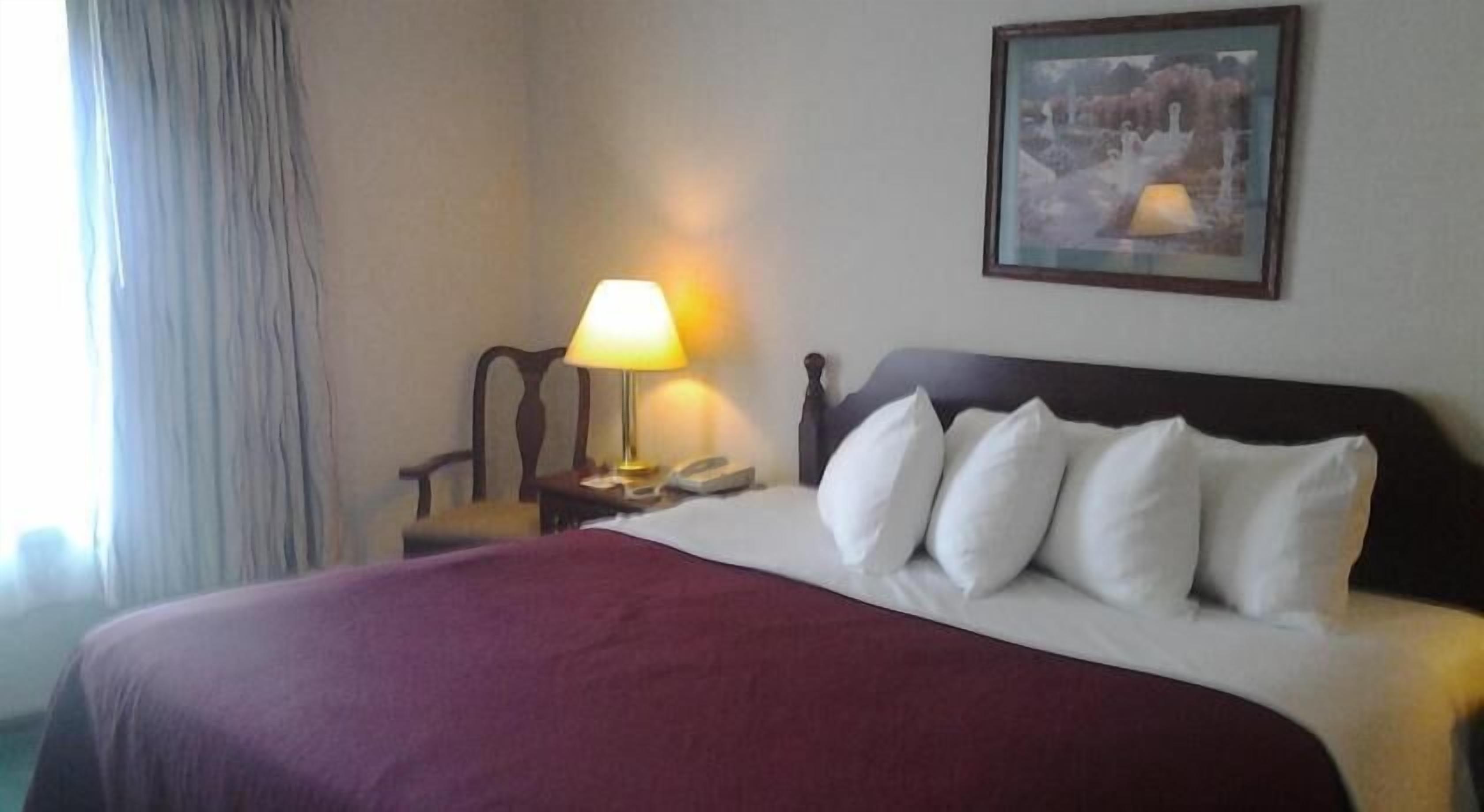 Desk, laptop workspace, iron/ironing board, free WiFi