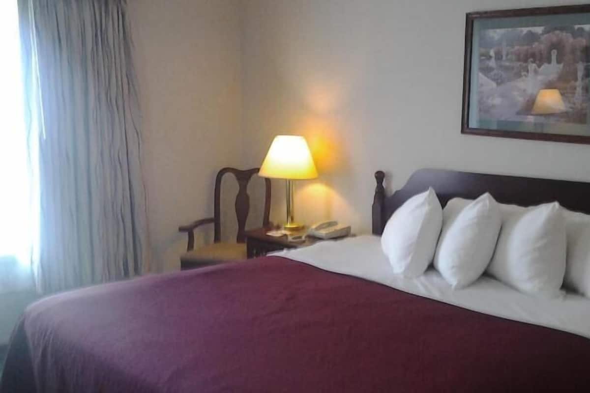 Desk, laptop workspace, iron/ironing board, free WiFi