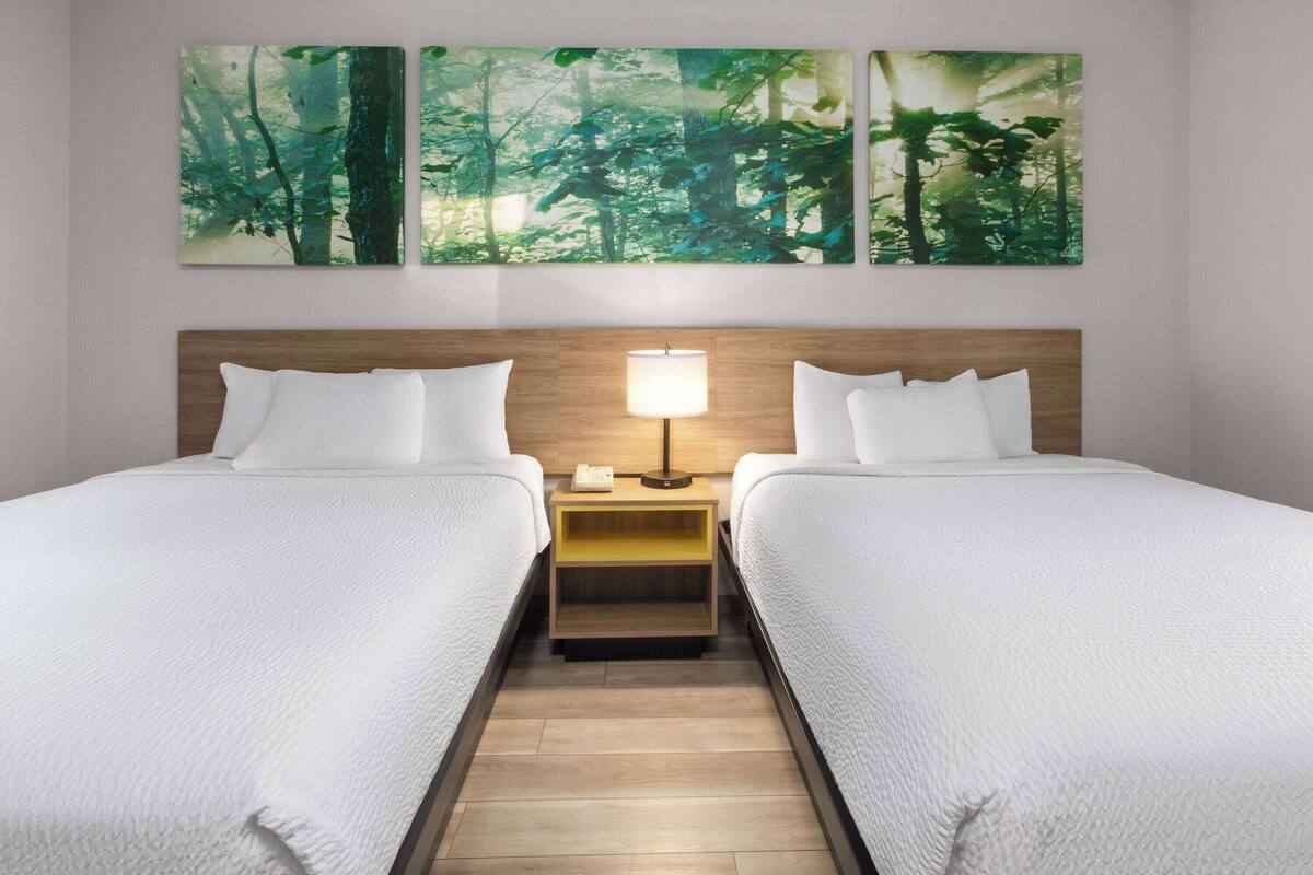 A hotel room with two beds, a nightstand with a lamp, and a large forest-themed artwork on the wall.