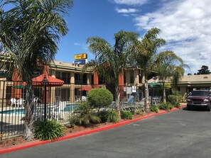 A hotel with a swimming pool, palm trees, and a red curb.