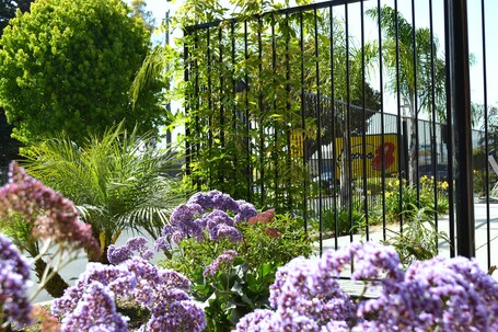 Jardín
