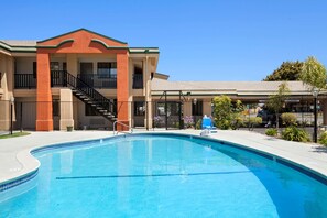 Outdoor pool, sun loungers