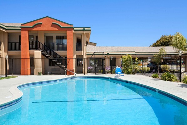 Outdoor pool, pool loungers