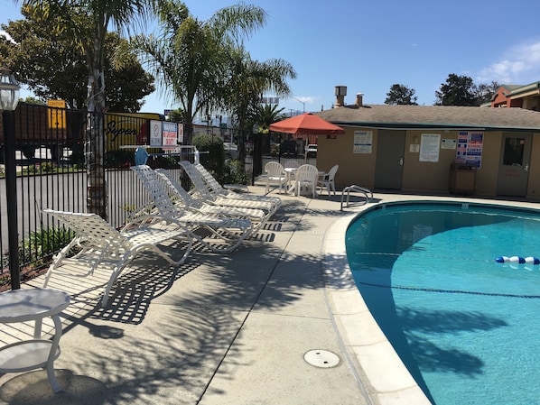 Outdoor pool, pool loungers
