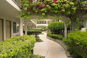 A pathway flanked by neatly trimmed hedges and a building with a balcony. - California Suites Hotel (San Diego)