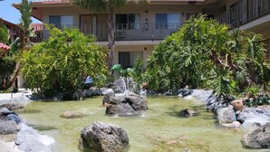 Un patio con una pequeña fuente rodeada de rocas y vegetación.