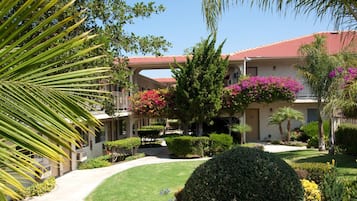 Vista desde la habitación