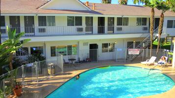 Outdoor pool, pool umbrellas, pool loungers