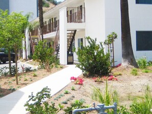حديقة