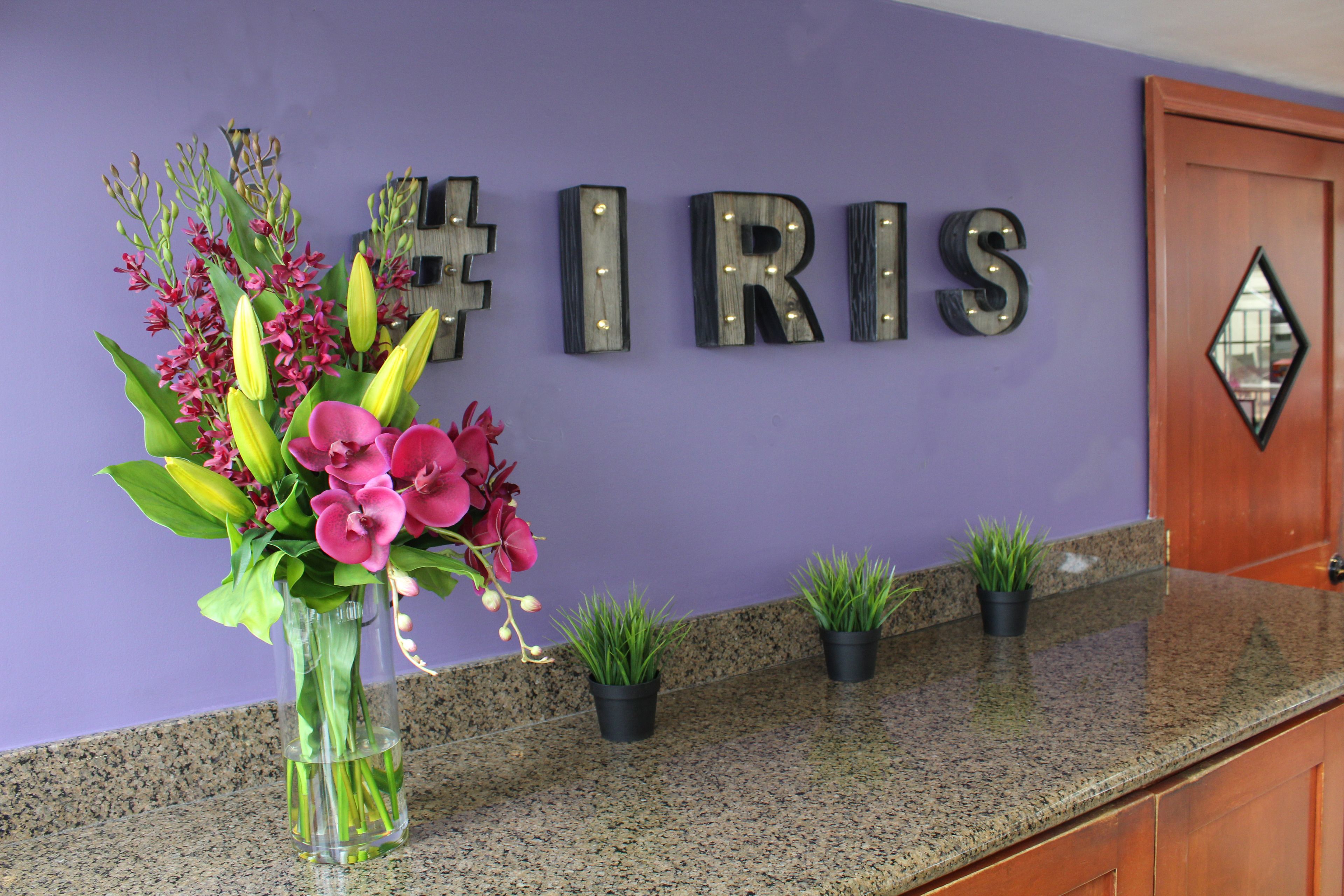 Foto - Hotel Iris - San Diego