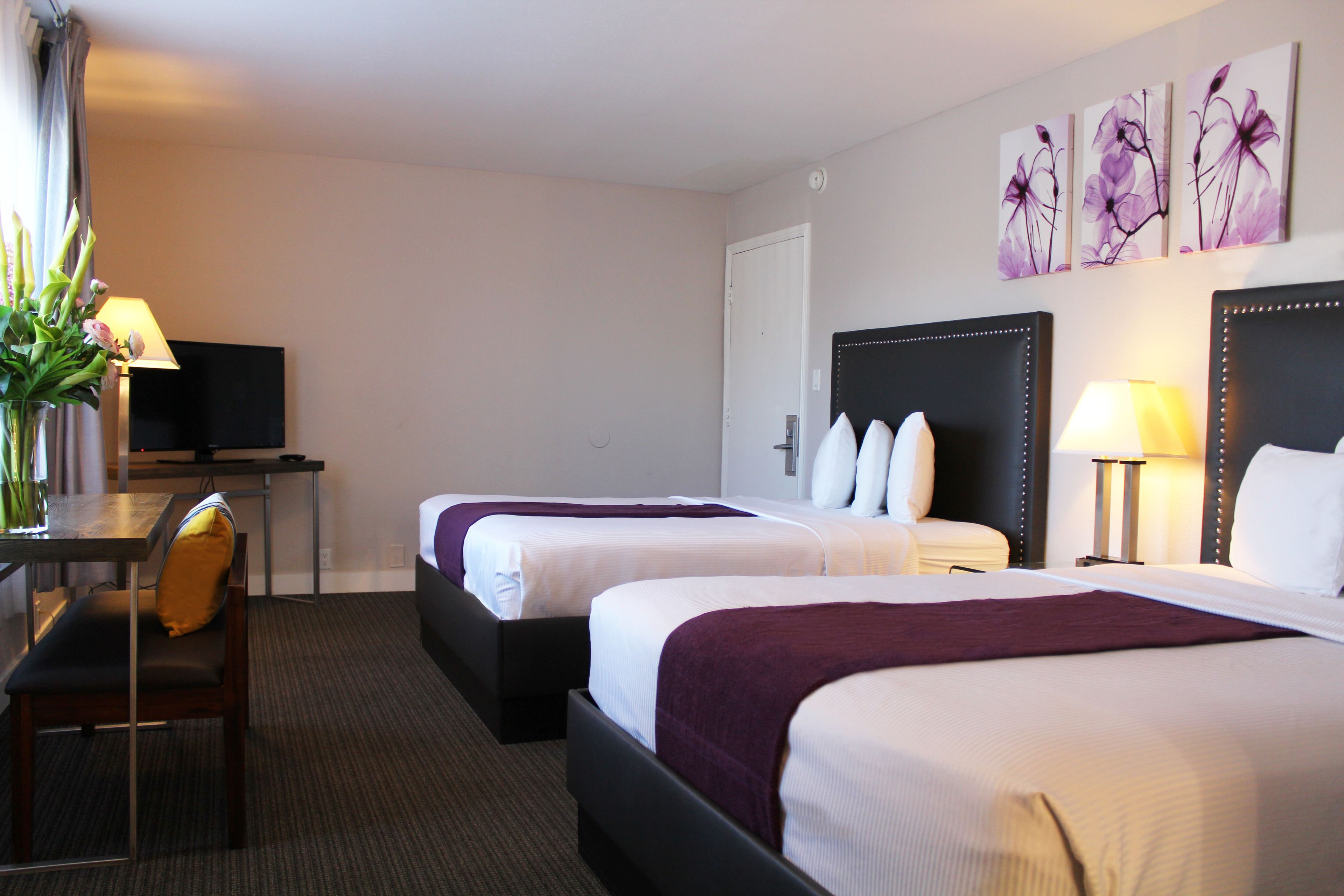 Foto - Hotel Iris - San Diego