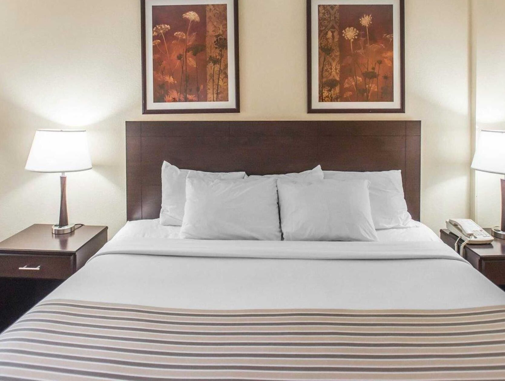 Desk, free cots/infant beds, rollaway beds, free WiFi