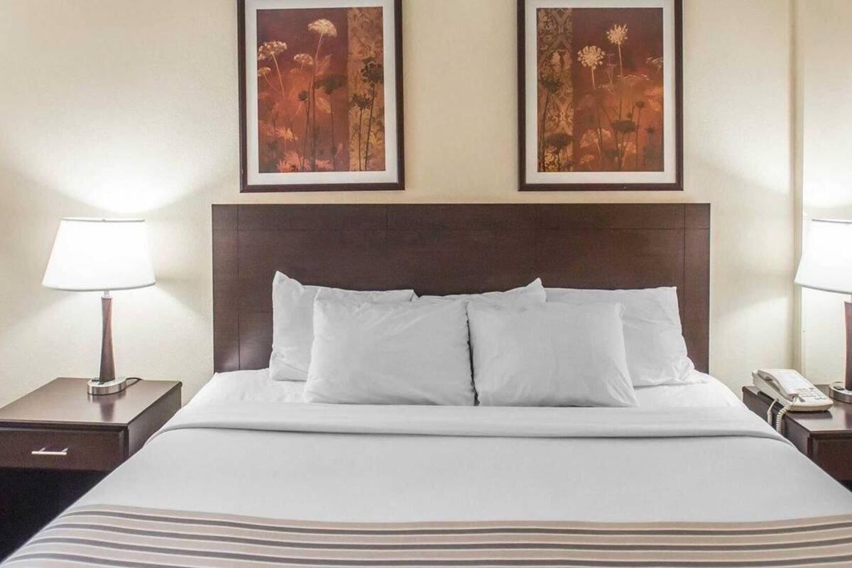 Une chambre d’hôtel avec un grand lit, deux lampes de chevet, une tête de lit et deux tableaux représentant des motifs floraux, encadrés et accrochés au mur.