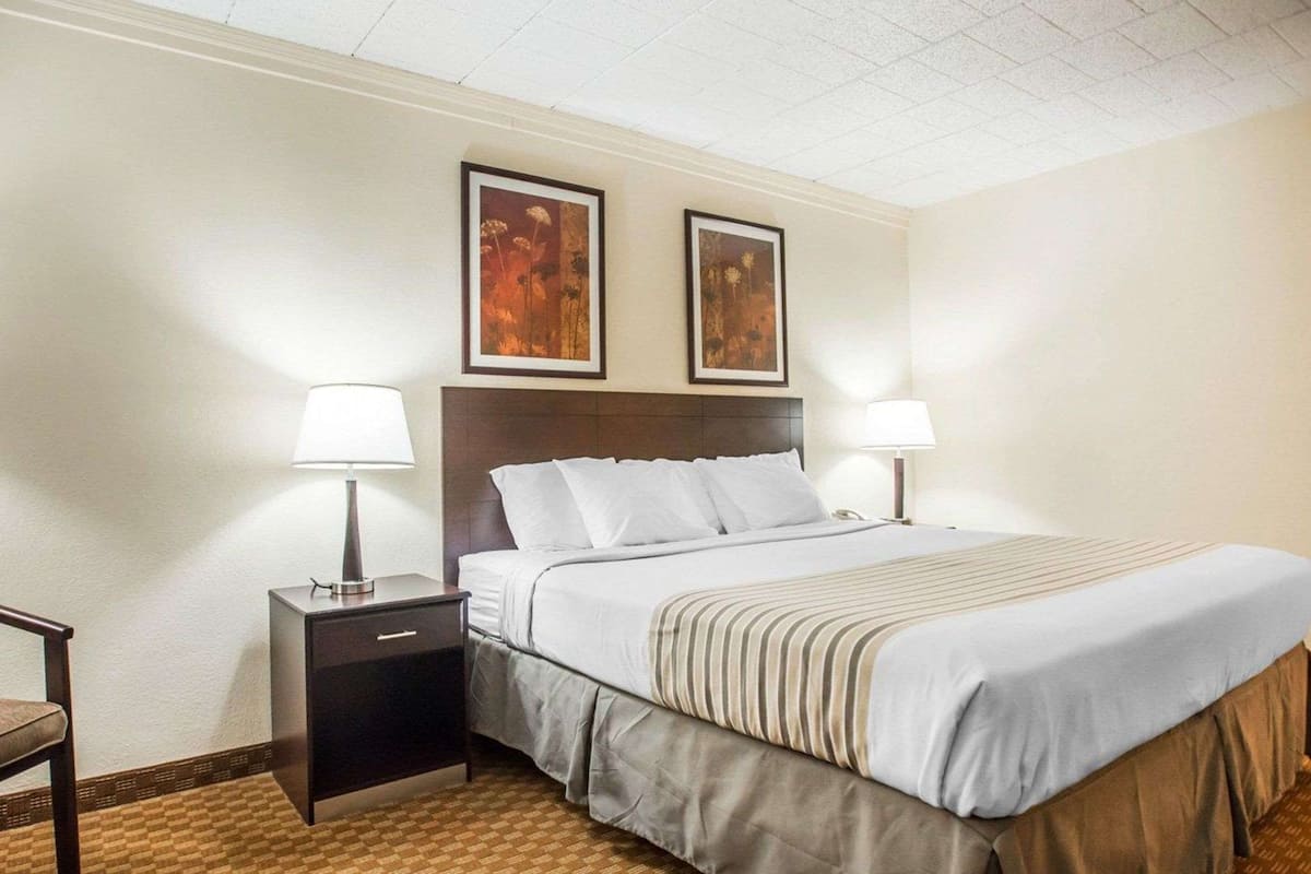 Standard Room, 1 King Bed, Non Smoking | Desk, free cribs/infant beds, rollaway beds, free WiFi