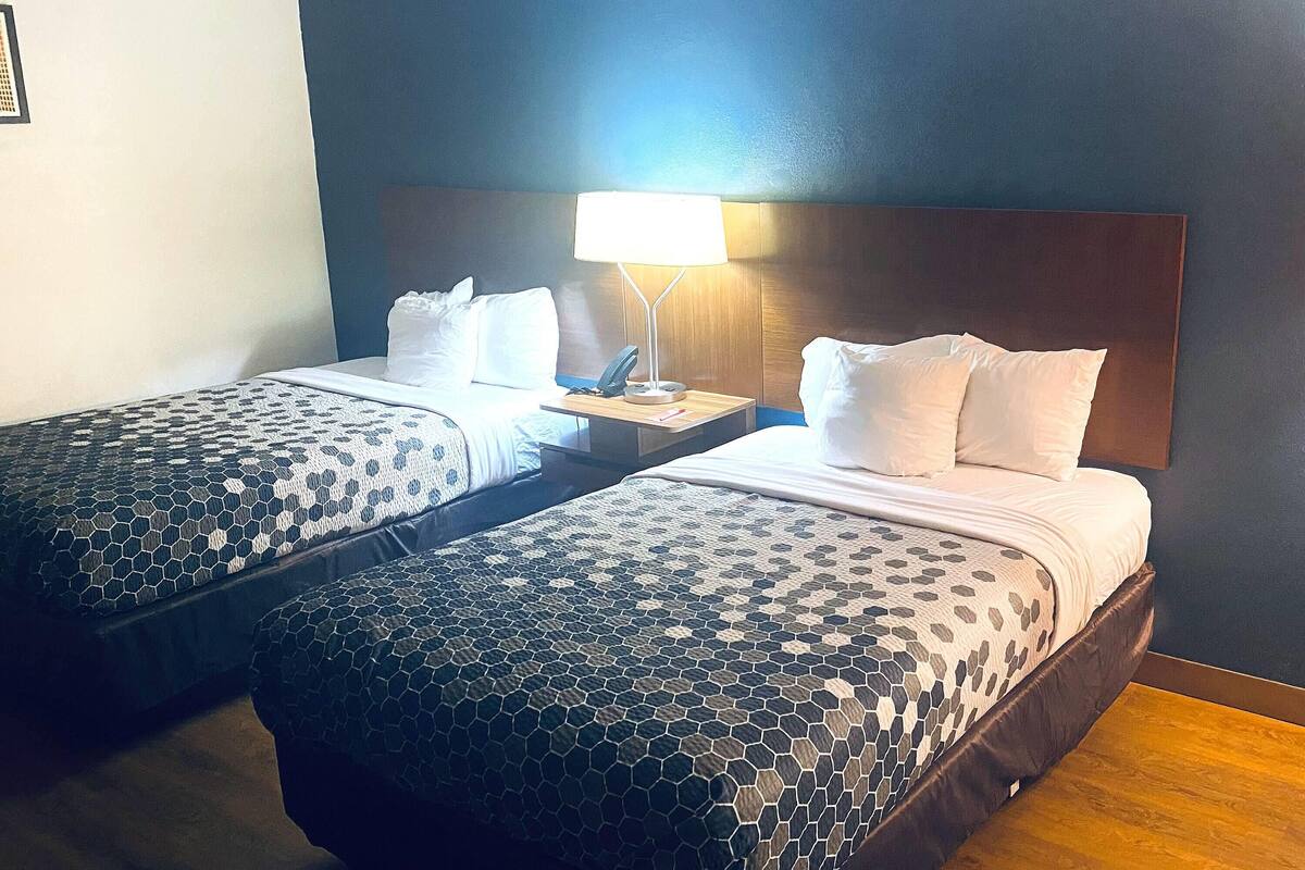 Deux lits jumeaux avec une tête de lit sombre, une table de chevet avec une lampe et une couvre-lit à motifs.