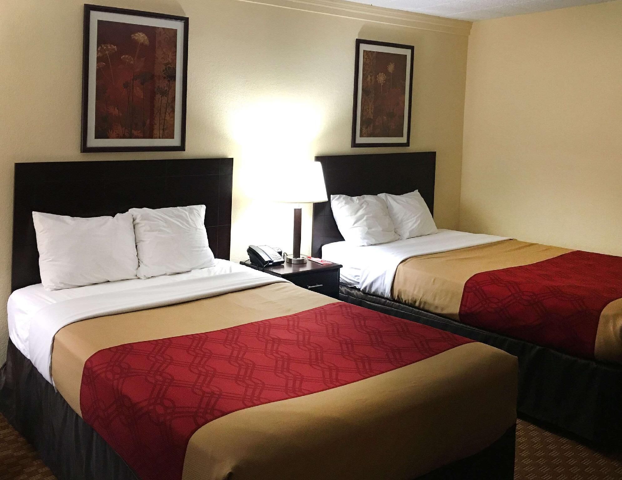 Desk, free cots/infant beds, rollaway beds, free WiFi