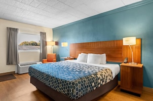 Habitación de hotel con una cama grande, dos lámparas de noche, un ventanal con cortinas y vistas a árboles.