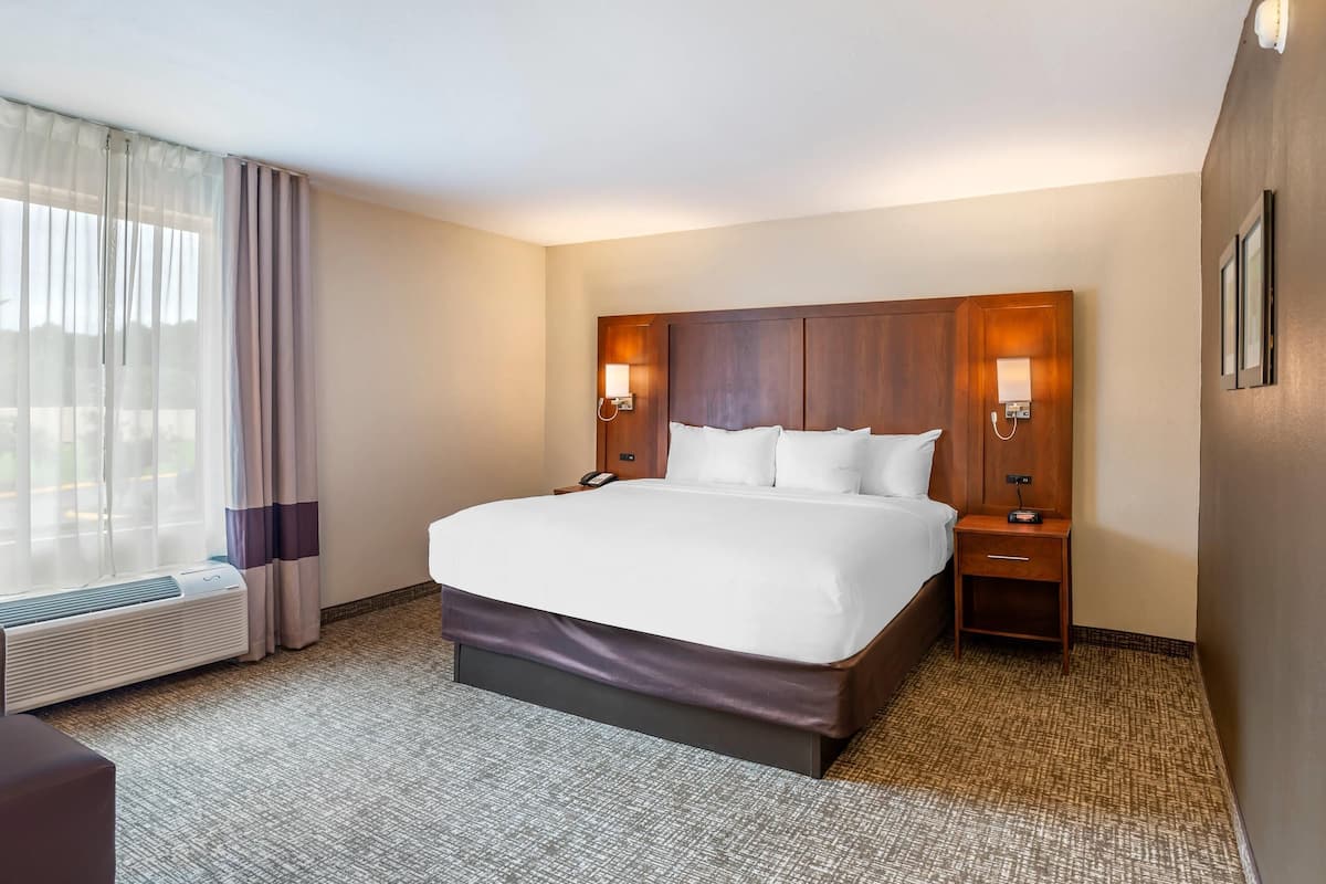 Room, 1 King Bed, Non Smoking (Larger Unit)