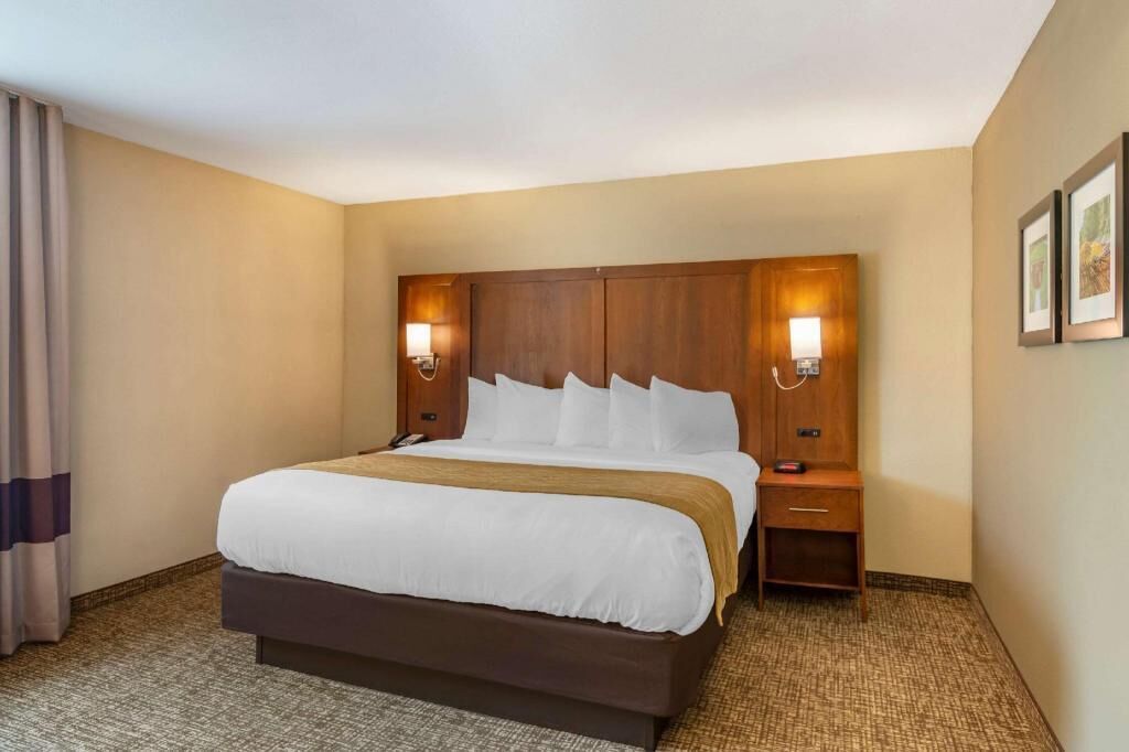 Premium bedding, desk, iron/ironing board, free WiFi