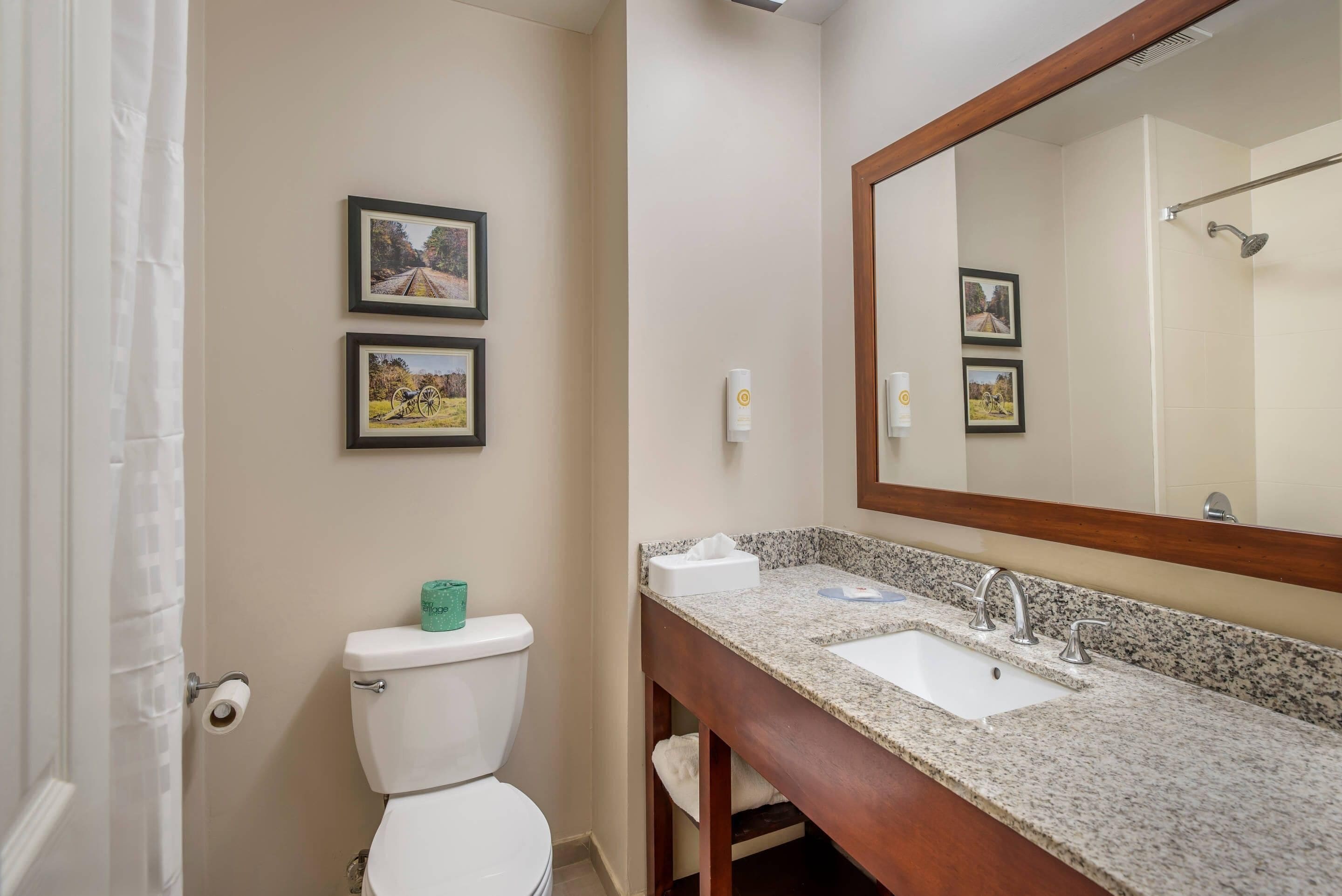 Une salle de bain comprenant des toilettes, un lavabo avec un miroir et deux tableaux encadrés accrochés au mur.