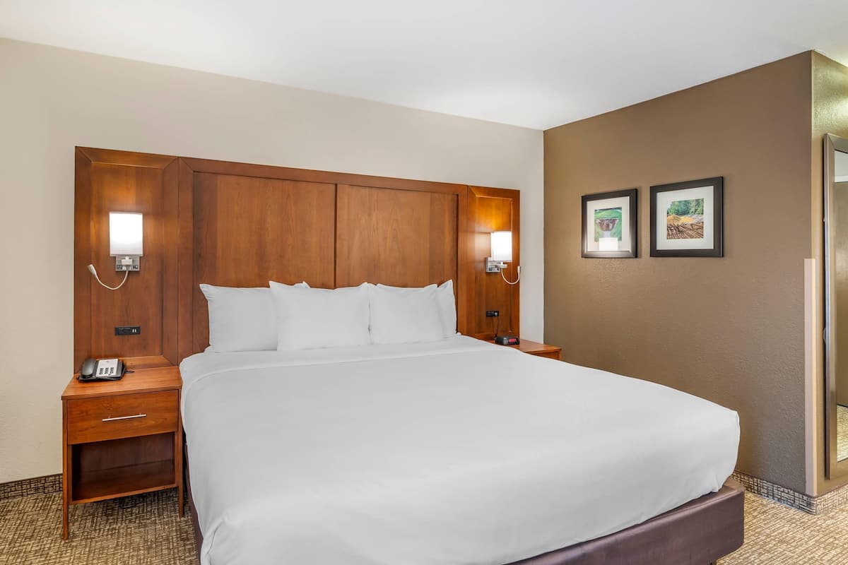 Premium bedding, desk, iron/ironing board, free WiFi