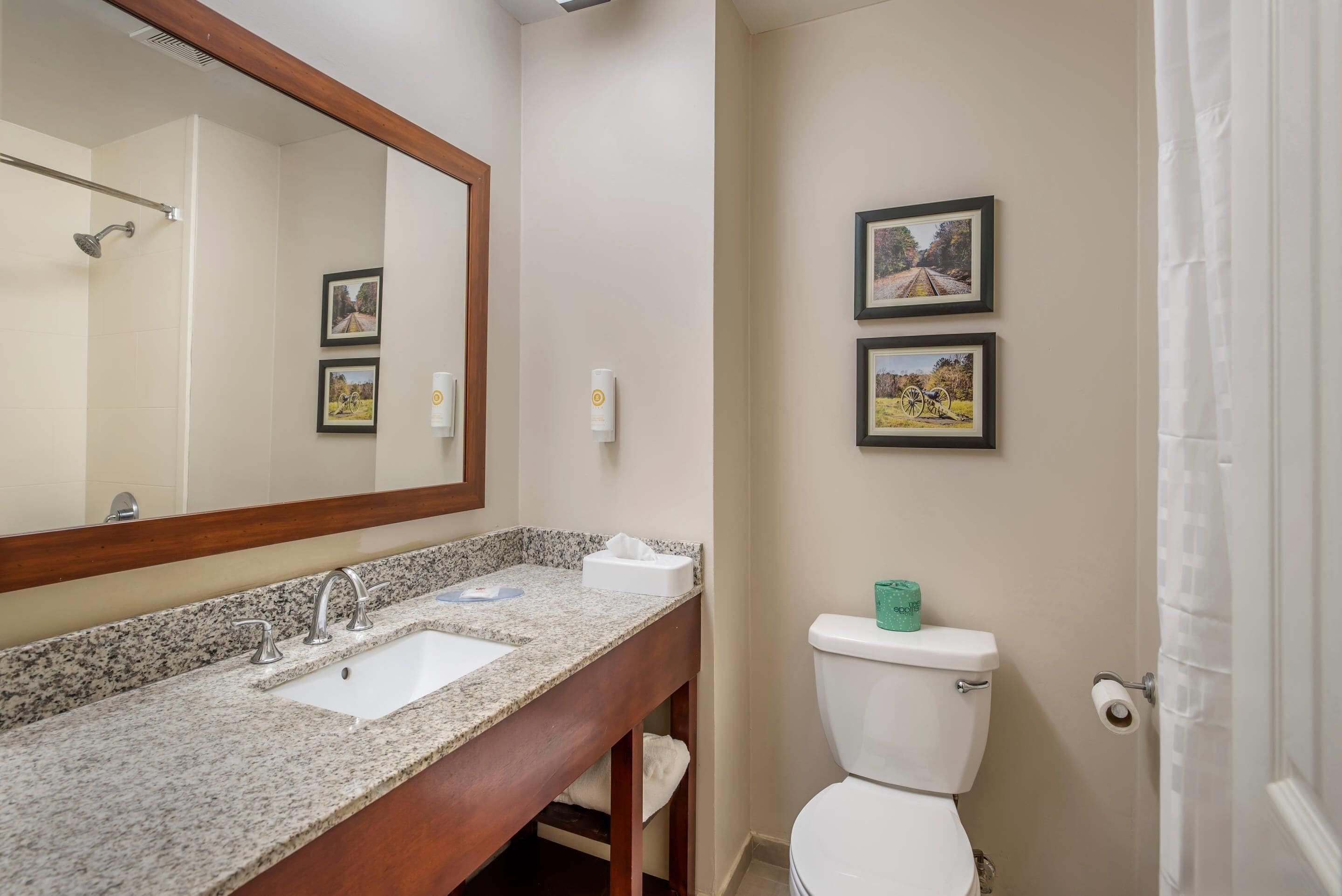 Een badkamer met een wastafel met granieten blad, een spiegel en een toilet. Er hangen twee afbeeldingen in een lijst aan de muur.