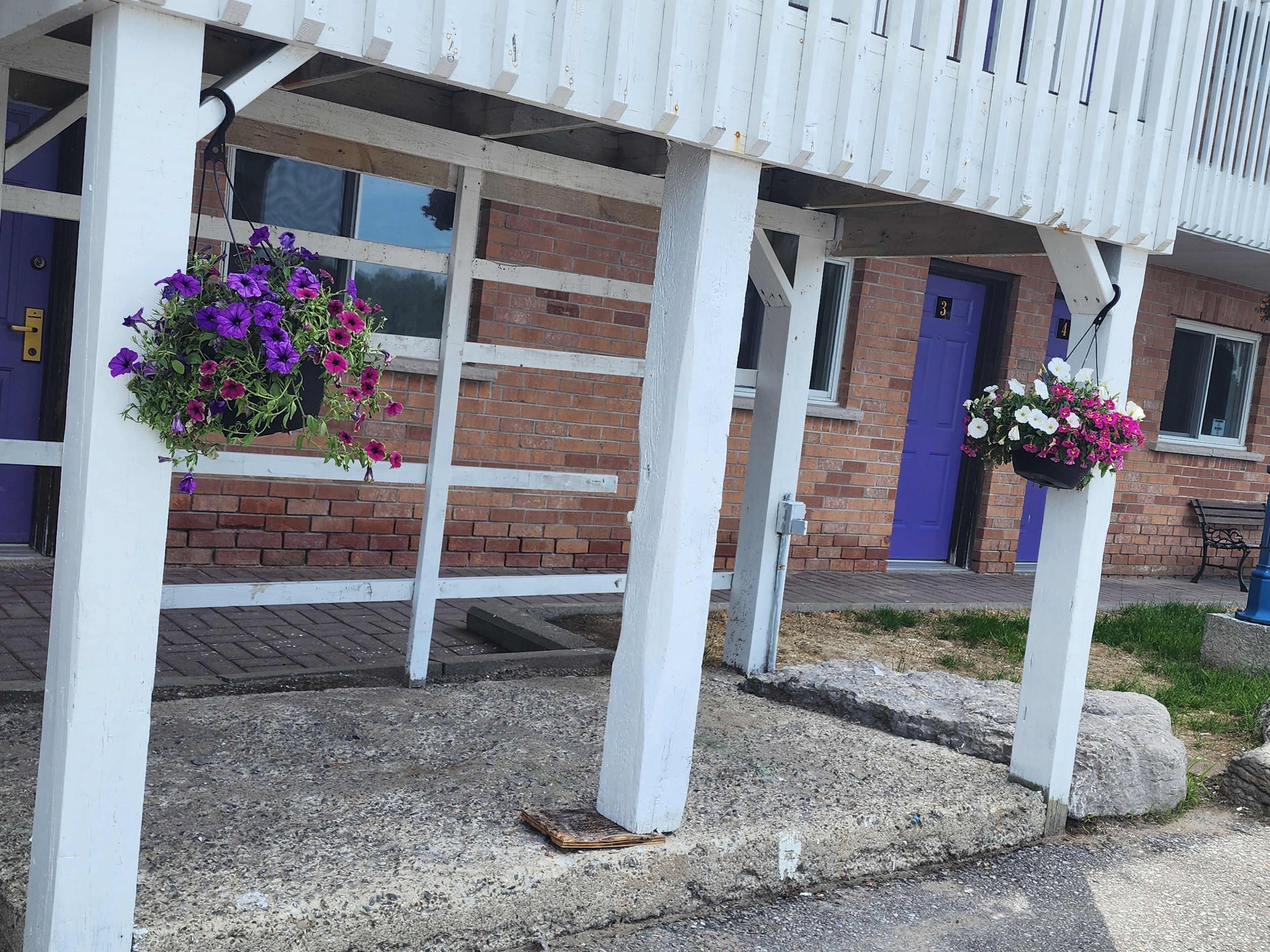 A building with a brick facade and white columns. There are hanging flower baskets with purple and pink flowers.