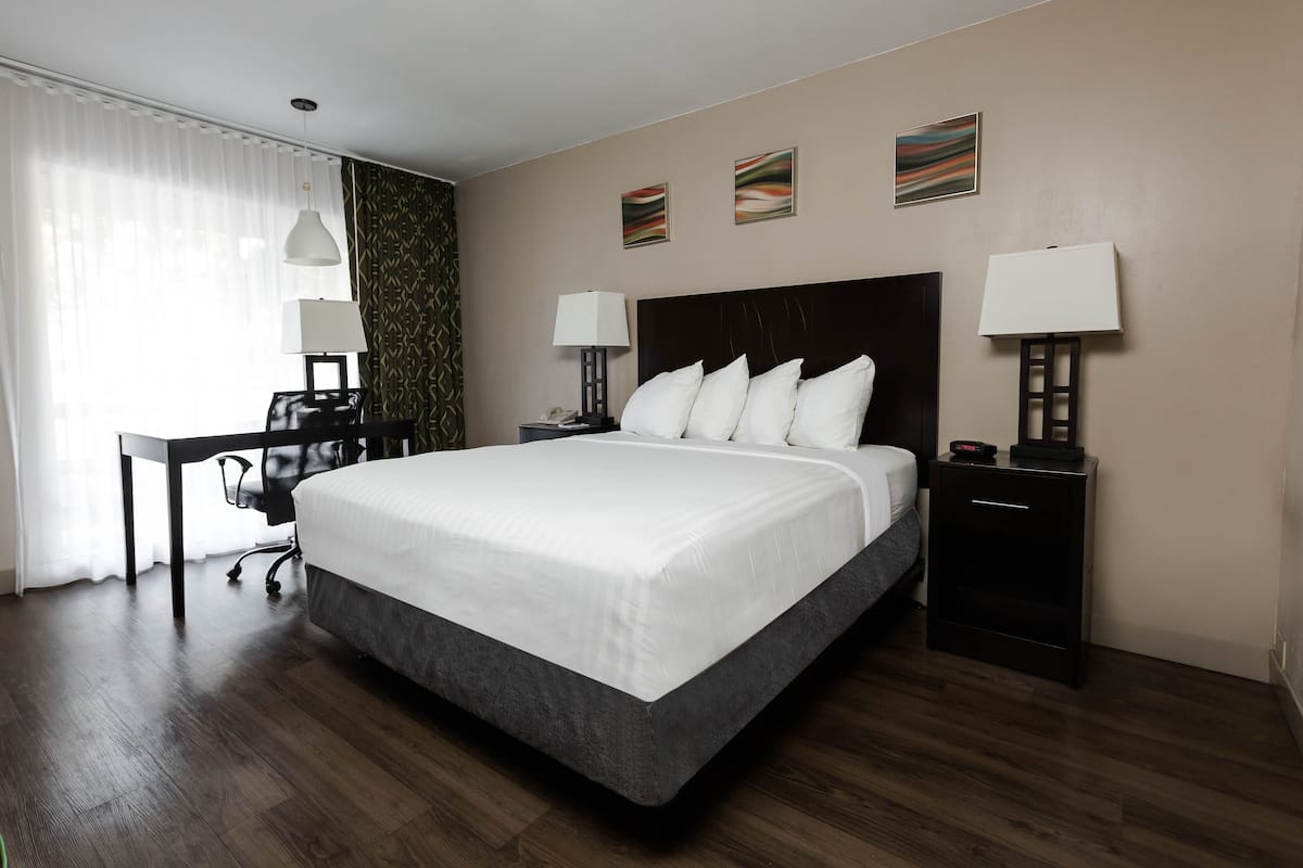 Premium Room, 1 Queen Bed | Desk, blackout drapes, iron/ironing board, rollaway beds