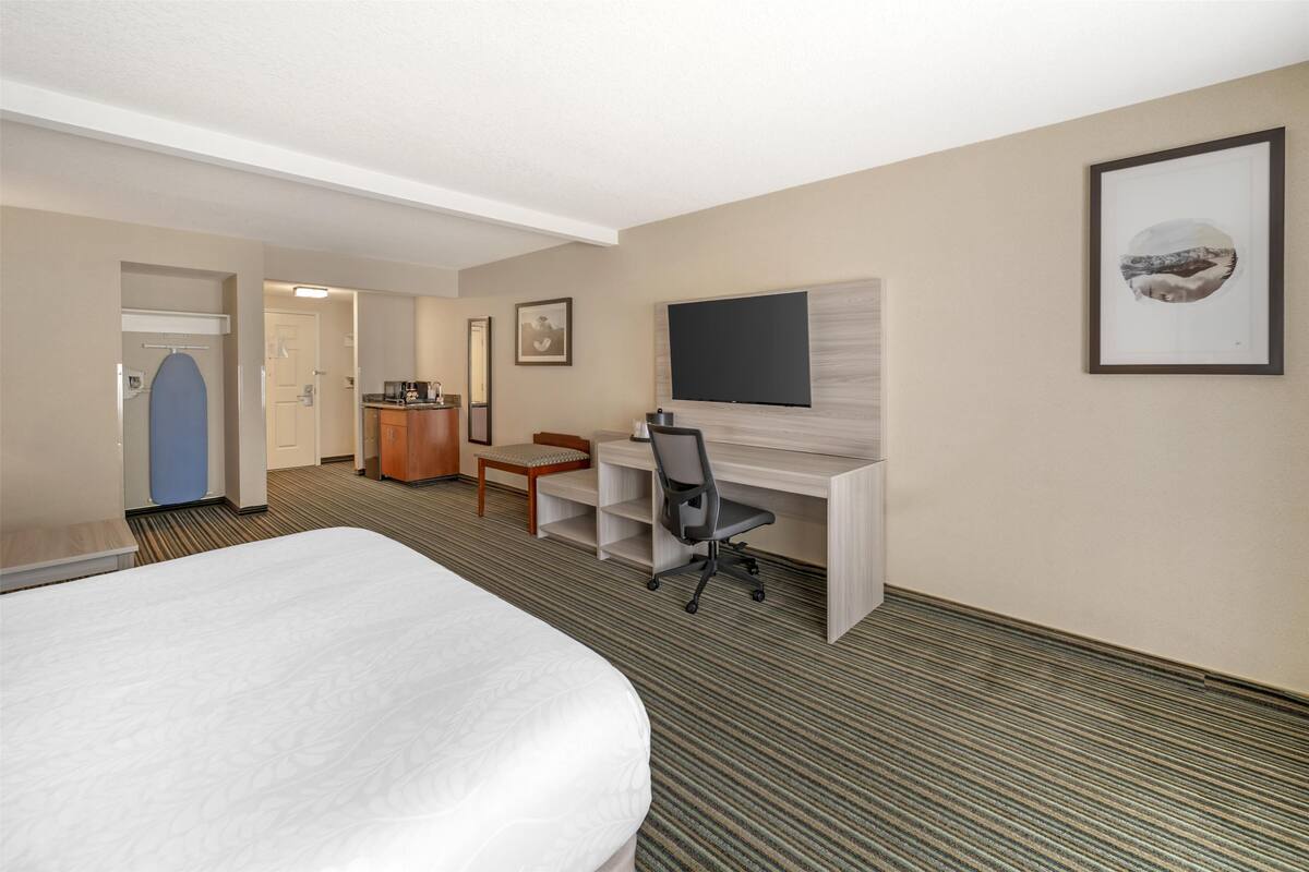 A hotel room with a large bed, a desk with a chair, a television, and a framed picture on the wall.