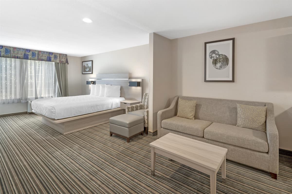 1 bedroom, laptop workspace, blackout curtains, iron/ironing board