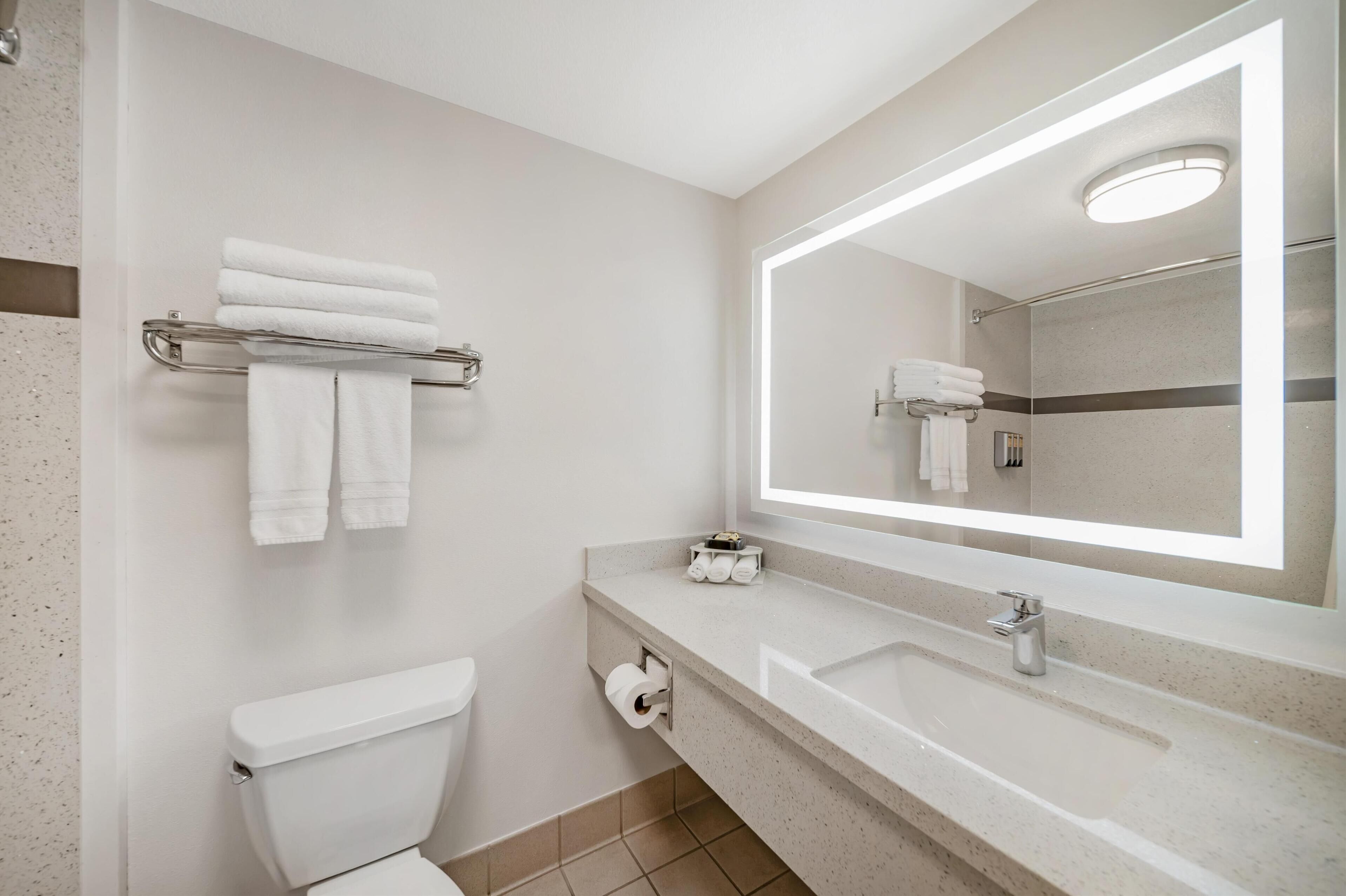 Un baño moderno con inodoro, lavamanos y un espejo grande.
