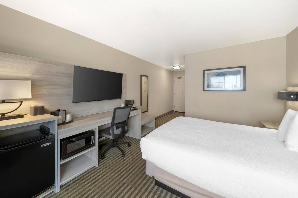 A hotel room with a bed, a desk with a computer, a microwave, a refrigerator, a TV, and a framed picture on the wall.