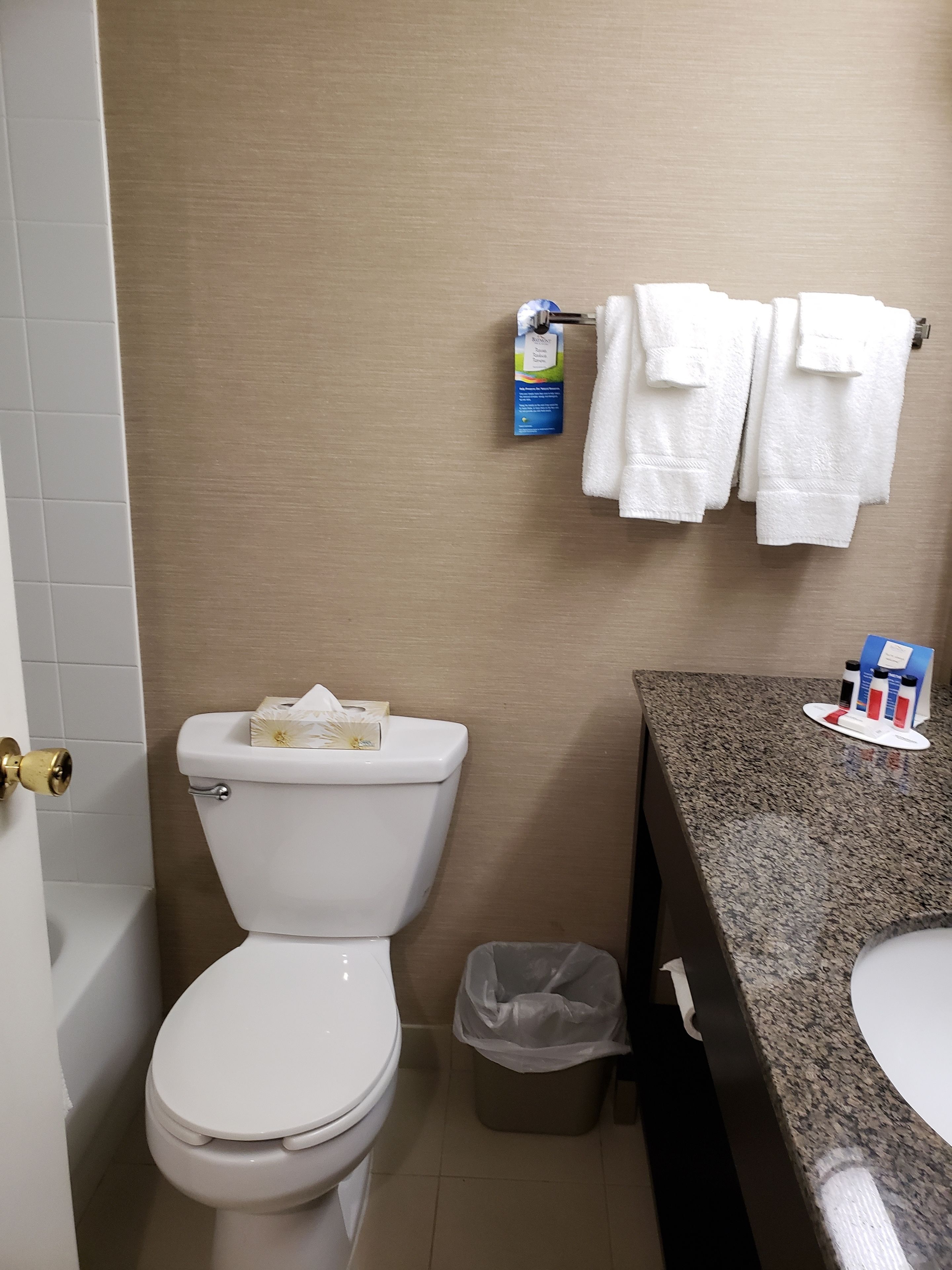 Ein Badezimmer mit Toilette, Mülleimer und Ablagefläche für Pflegeprodukte.