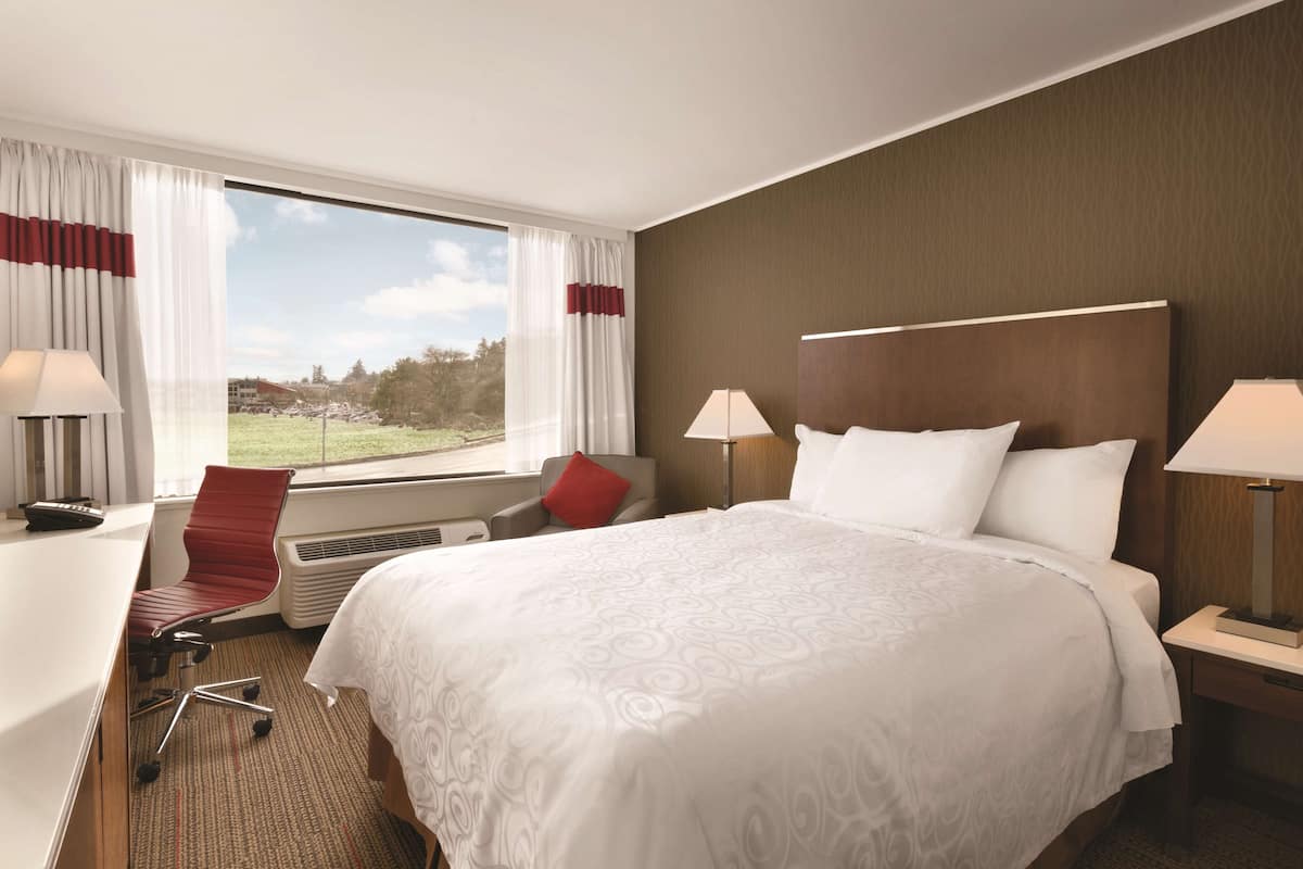 Habitación de hotel con una cama grande, dos mesitas de noche con lámparas, un escritorio con una silla y vistas al exterior a través de una ventana.