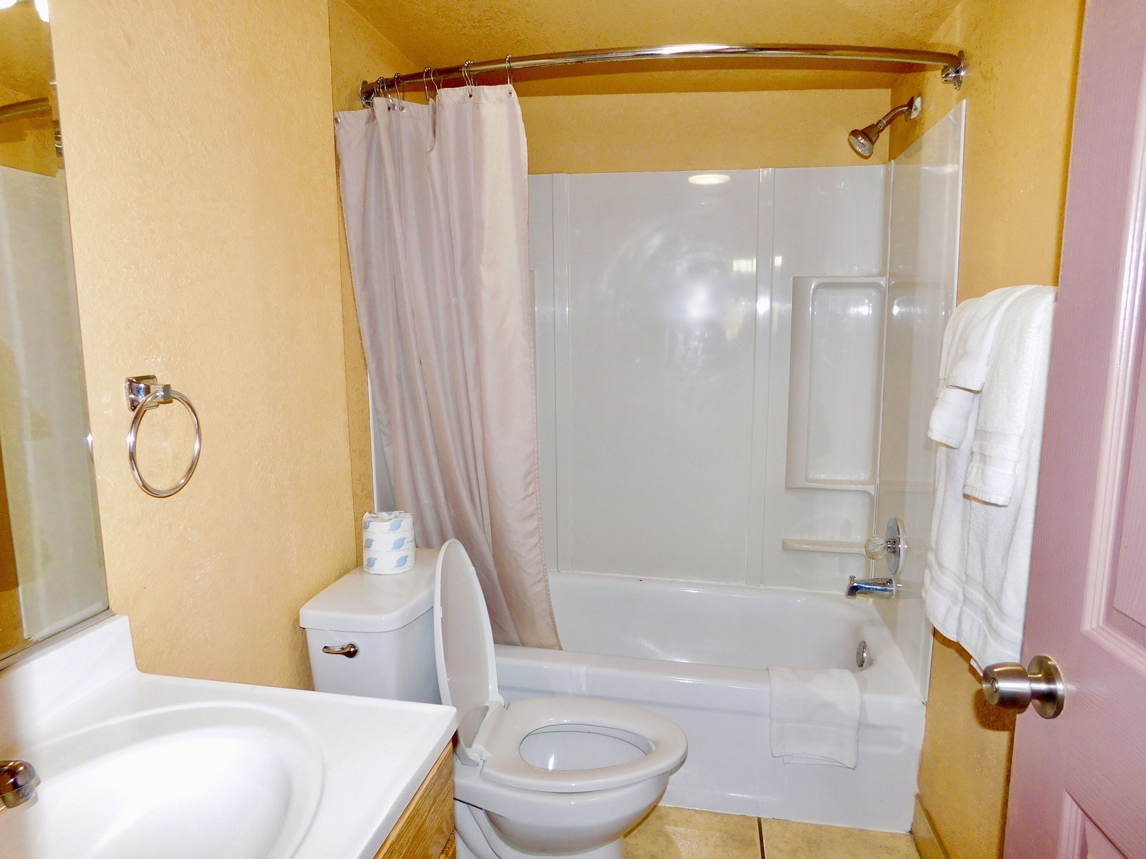 combined shower/bathtub, free toiletries, hair dryer, towels