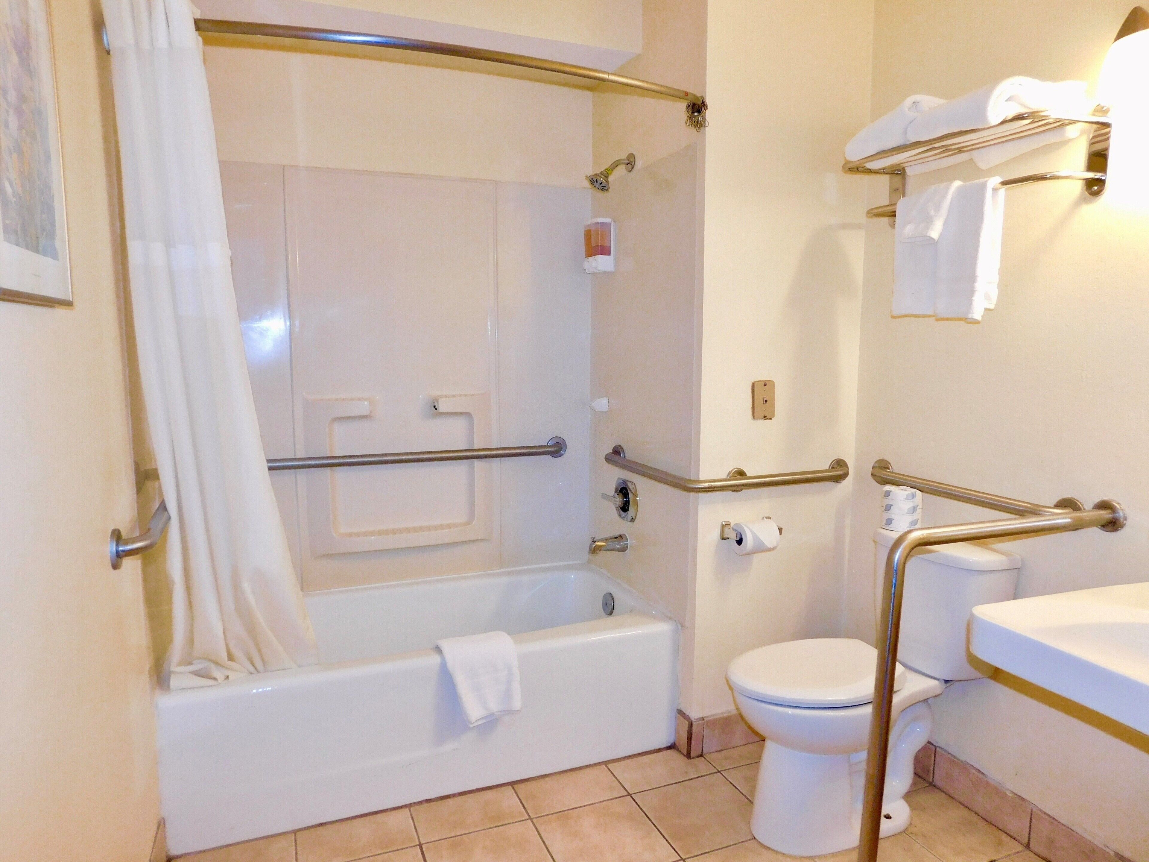 combined shower/bathtub, free toiletries, hair dryer, towels