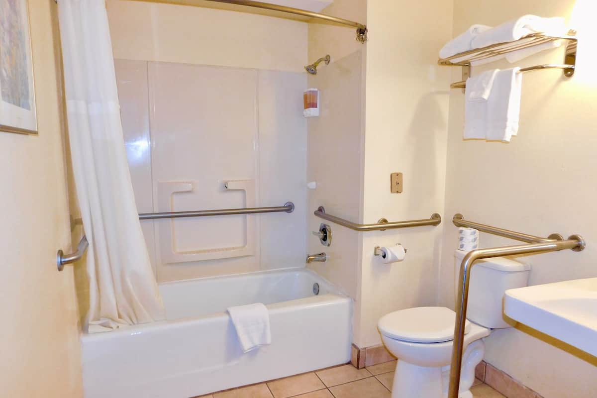 combined shower/bathtub, free toiletries, hair dryer, towels