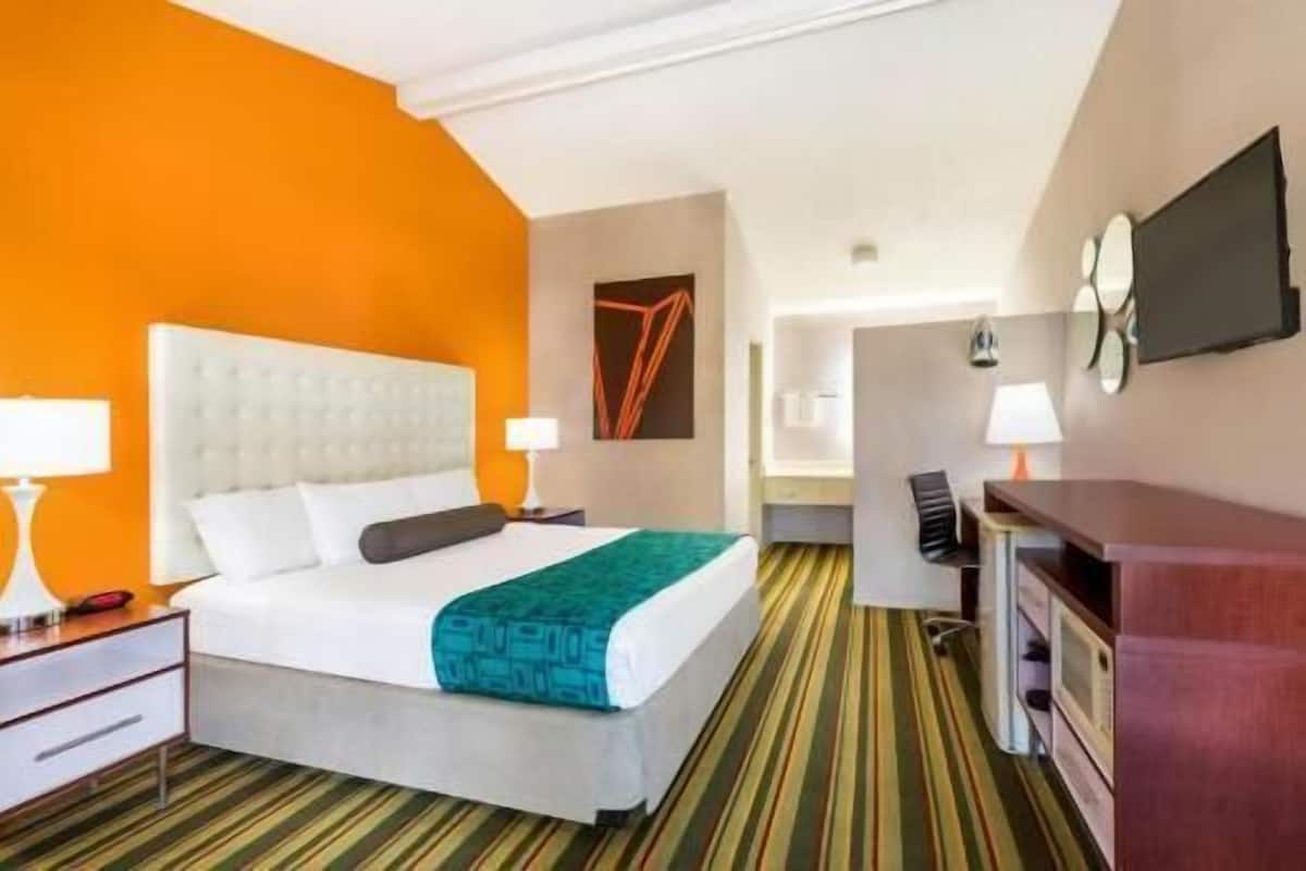 Une chambre d’hôtel avec un lit, un bureau, une chaise, une télévision et une salle de bain visible au fond.
