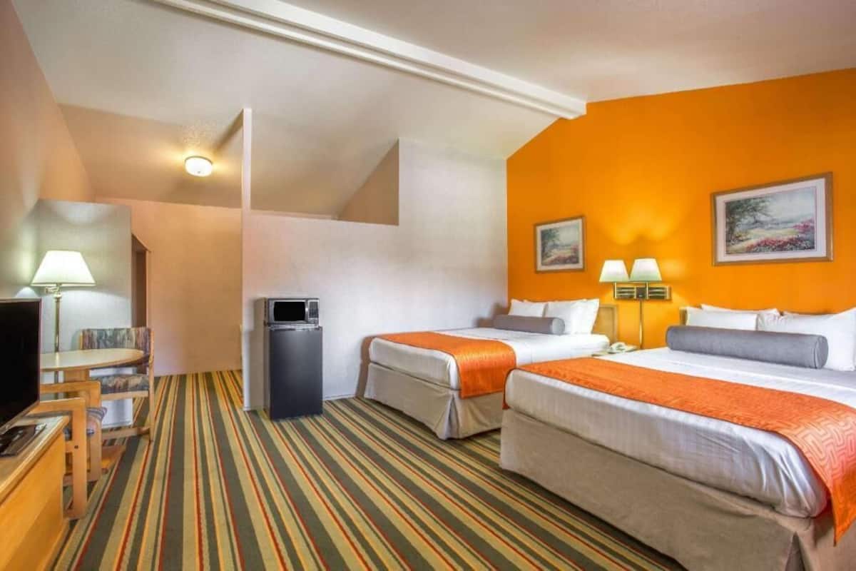 Une chambre d’hôtel avec deux lits, une télévision, un bureau et une poubelle.