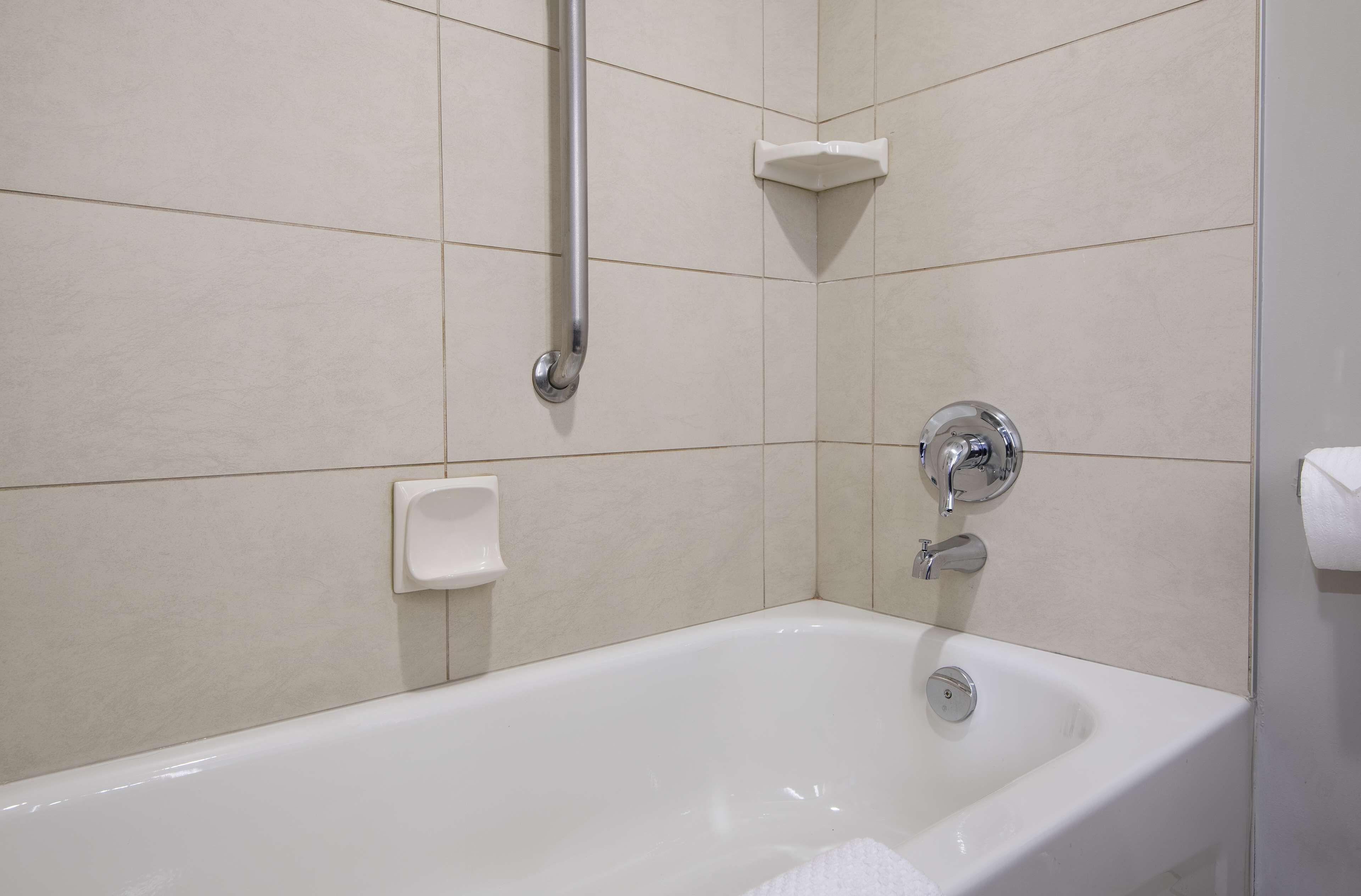 A modern bathroom with a white bathtub, a handheld showerhead, a soap dish, and a toilet paper holder.