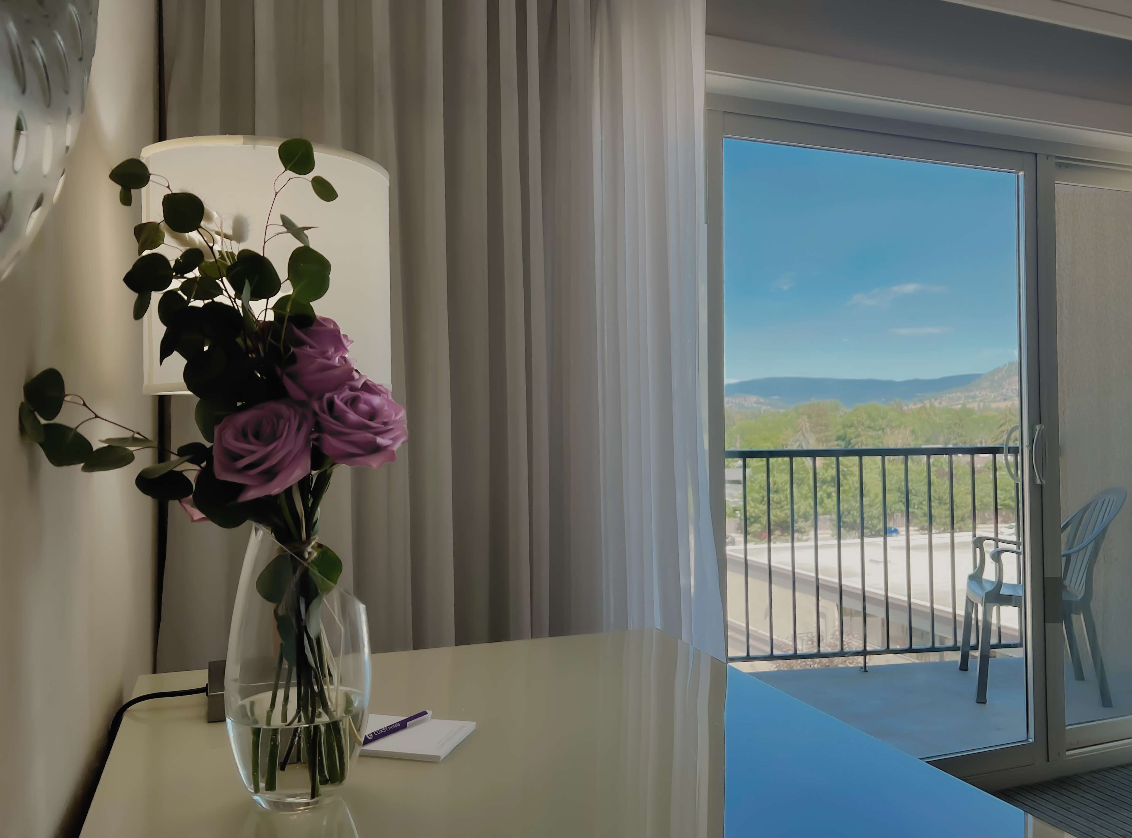 Vista desde la habitación