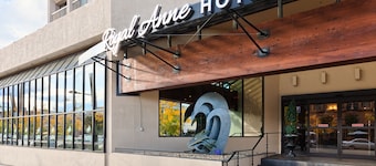The Royal Anne Hotel