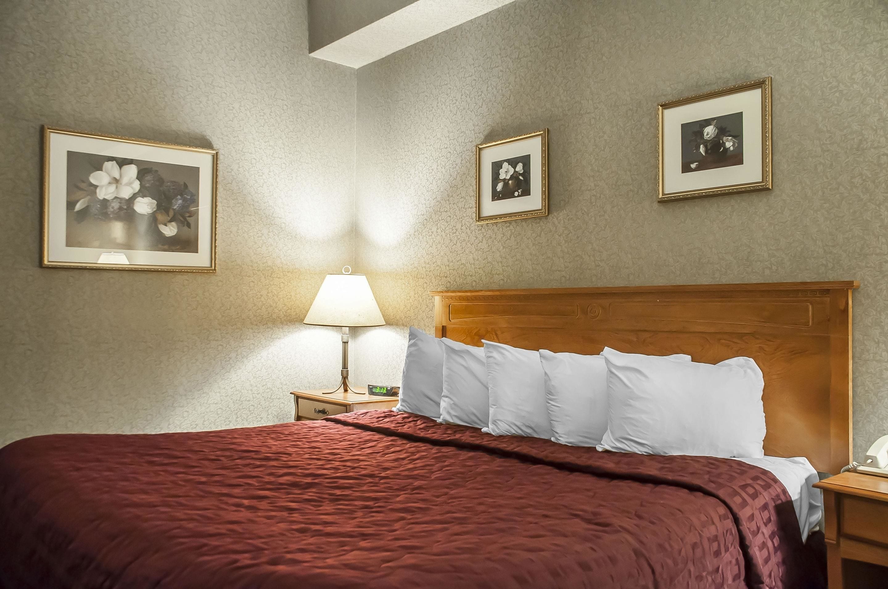 Foto - Comfort Inn Lundy's Lane