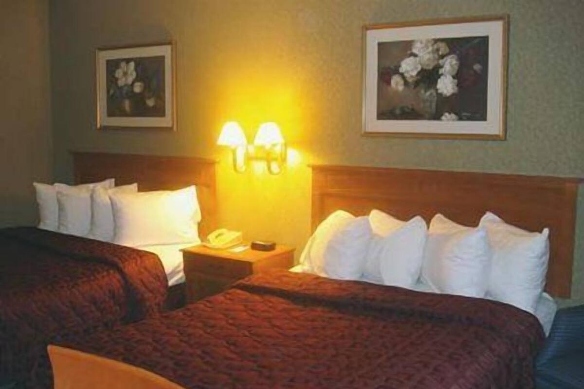 A hotel room with two beds, a nightstand with a lamp, and two framed floral paintings on the walls.