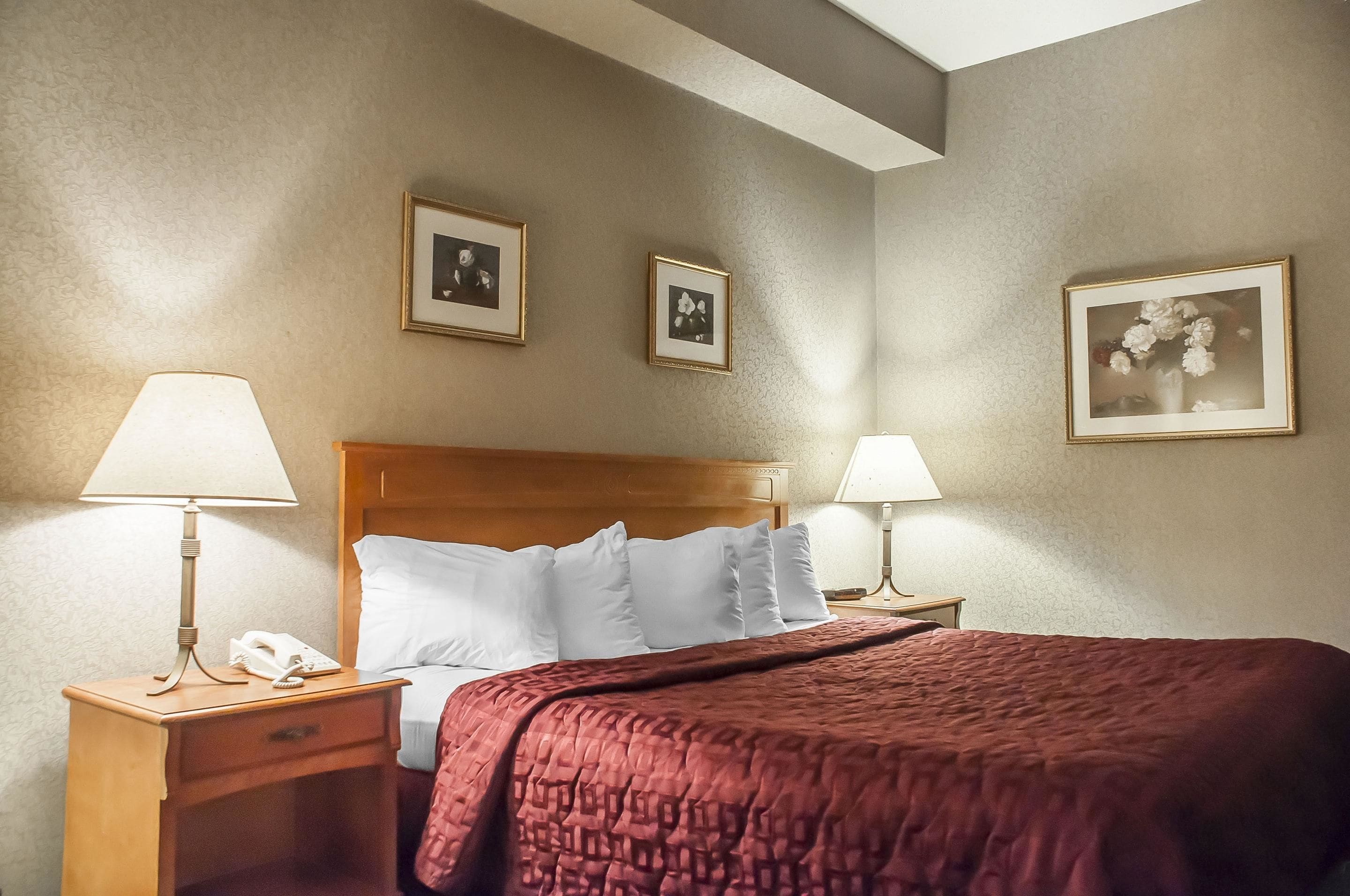 Photo - Comfort Inn Lundy's Lane